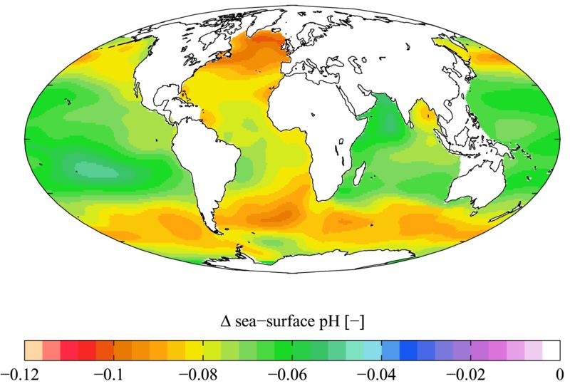 Oceans becoming increasingly acidic as carbon emissions are absorbed