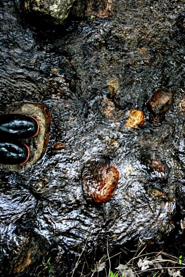 ellie-storms-fCqaAK5rYoM-unsplash