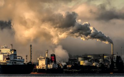 Global Carbon Emissions Have Risen 48% Since 1992