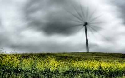 Root Force: Why Wind Power is a Sham