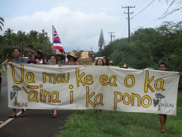 Native Hawaiians standing up against use of land for GMO experiments