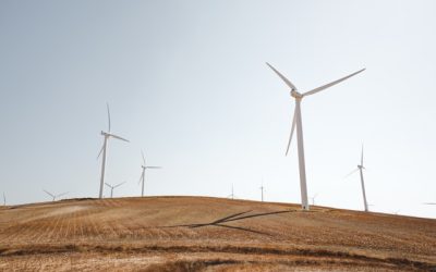 Communities In Mexico Organize Against Wind Farms