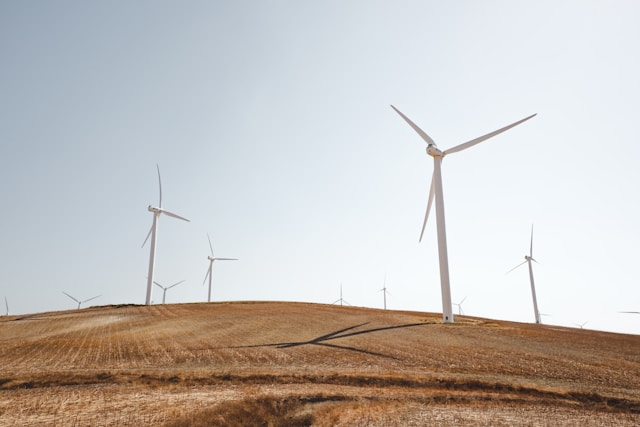 Communities In Mexico Organize Against Wind Farms