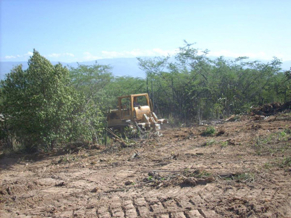 Dominican Republic bulldozing wildlife preserve for agriculture