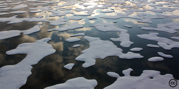 New study finds acidification of Arctic Ocean exceeding all projections