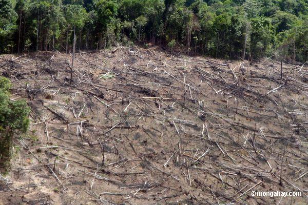 Study finds agriculture and deforestation accelerate soil erosion 100 times faster