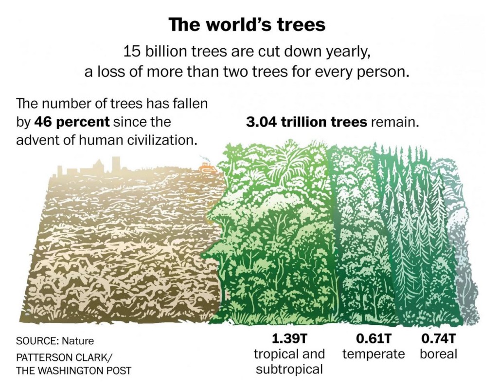Deforestation Worldwide