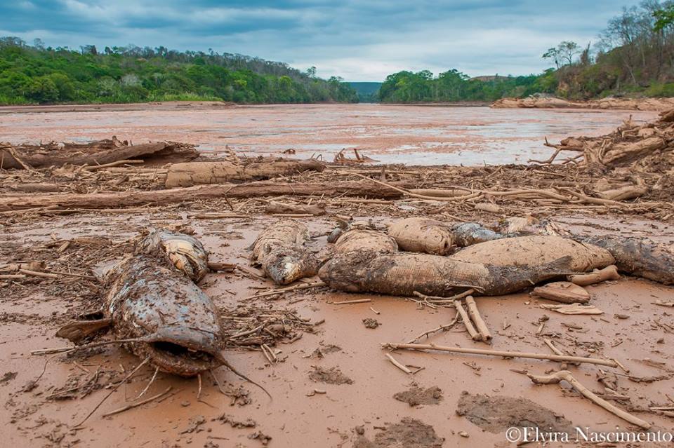 Dam breach of open pit iron ore mine catastrophic for Brazil