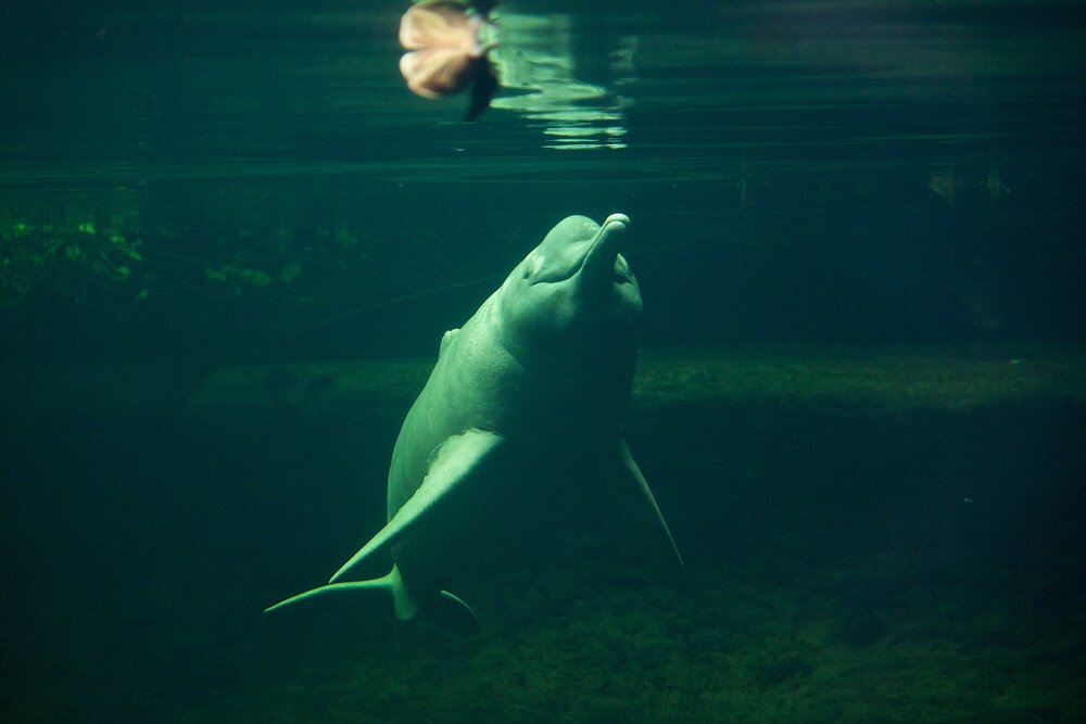 7372991976_12aabaad57_k