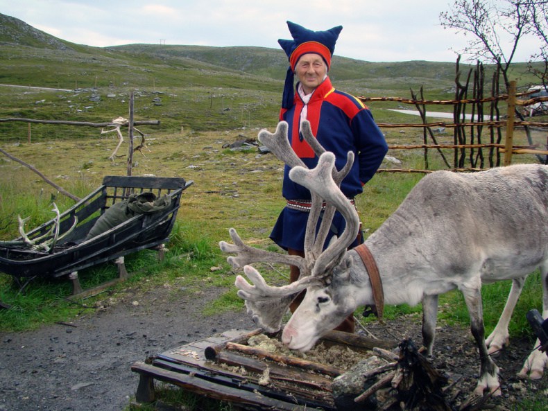 New Finnish Forestry Act could mean the end of Sami reindeer herding