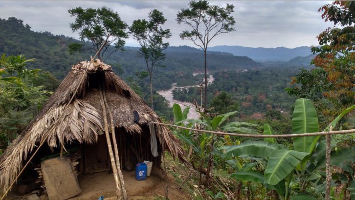 Indigenous U’wa Struggle for Peace in Colombia