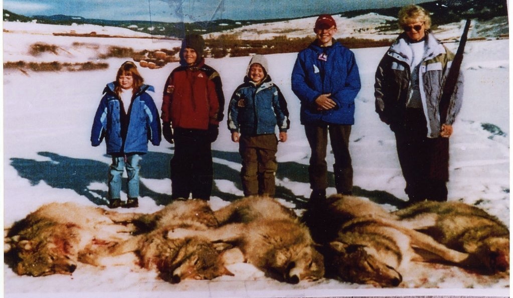 Conservation groups sue USDA Wildlife Services over Idaho wolf kill