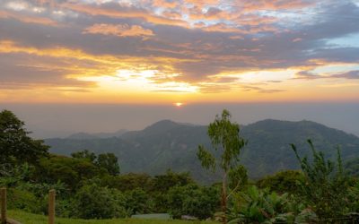 Colombia: Sierra Nevada Indigenous Leader Murdered
