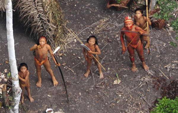 Brazil: Government Abandons Uncontacted Tribes to Loggers and Ranchers