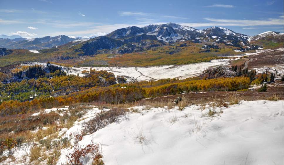New Park City Witness: The Problems With “Open Space”