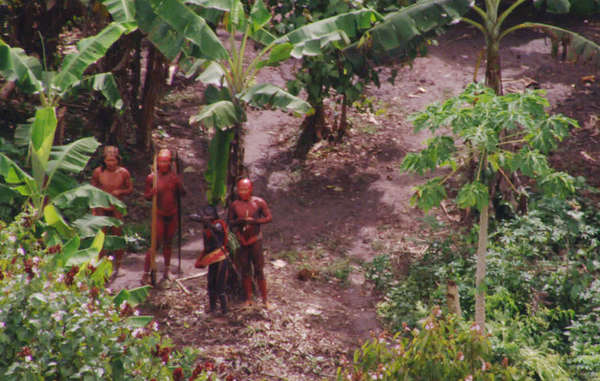 Amazon Indians Plead for Help After Massacre