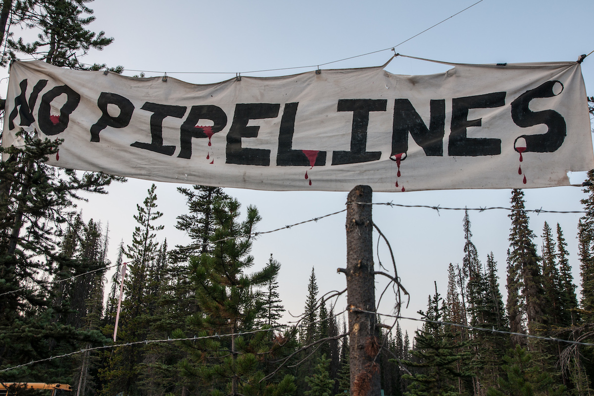 No Pipelines Unist'ot'en DGR Deep Green Resistance delegation