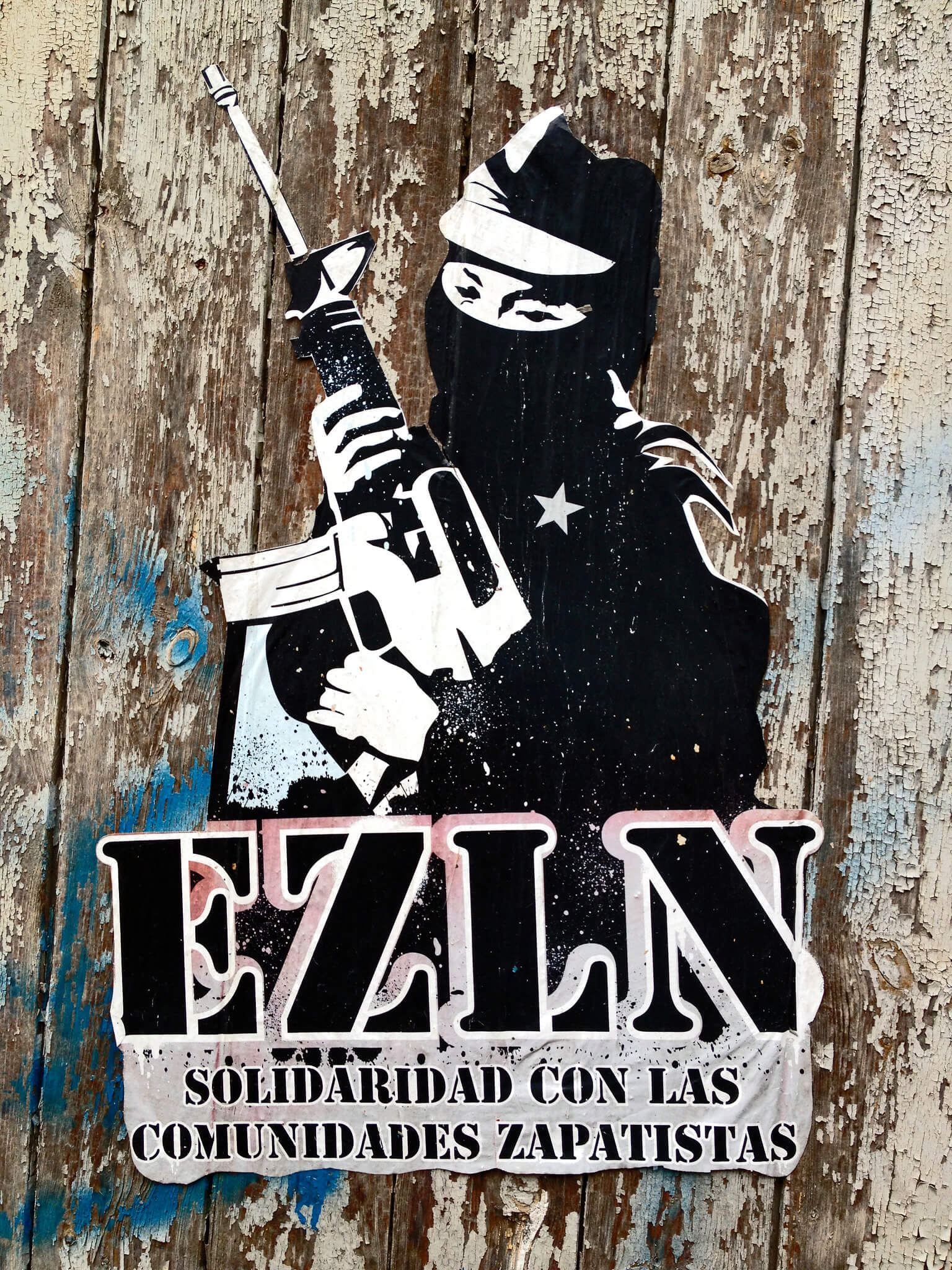 Resistance Profile: Zapatista Army of National Liberation (EZLN)