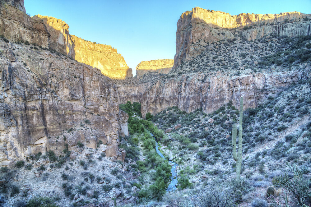 arvaipa canyon wilderness in arizona, a stream running through the bottom of a canyon with saguaro cactus and tall red-rock cliffs