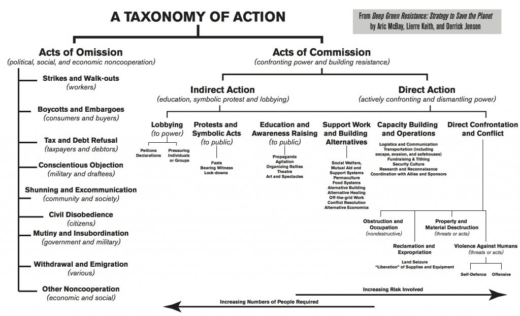 from DGR book taxonomy of action
