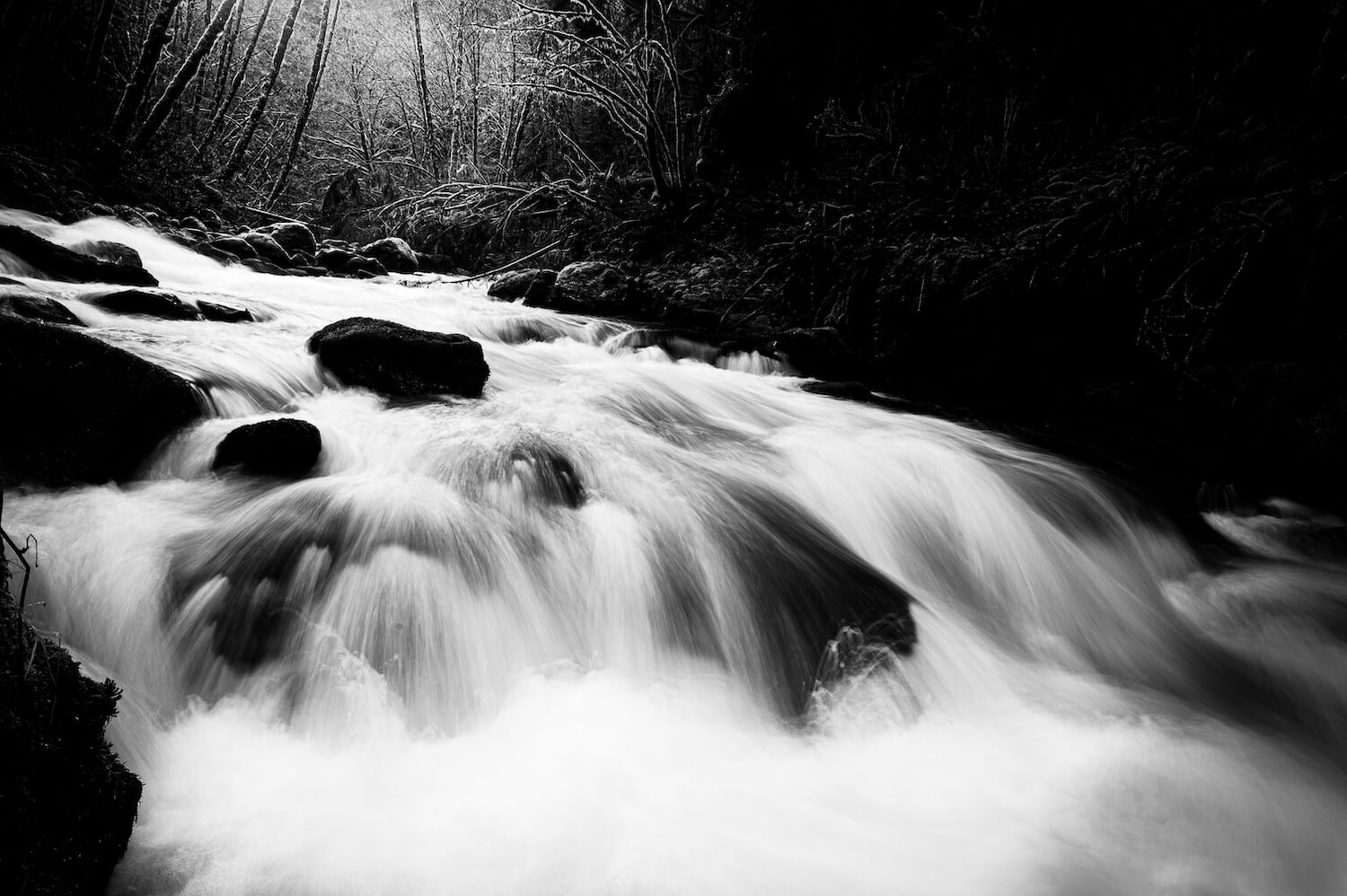rushing river photo by max wilbert
