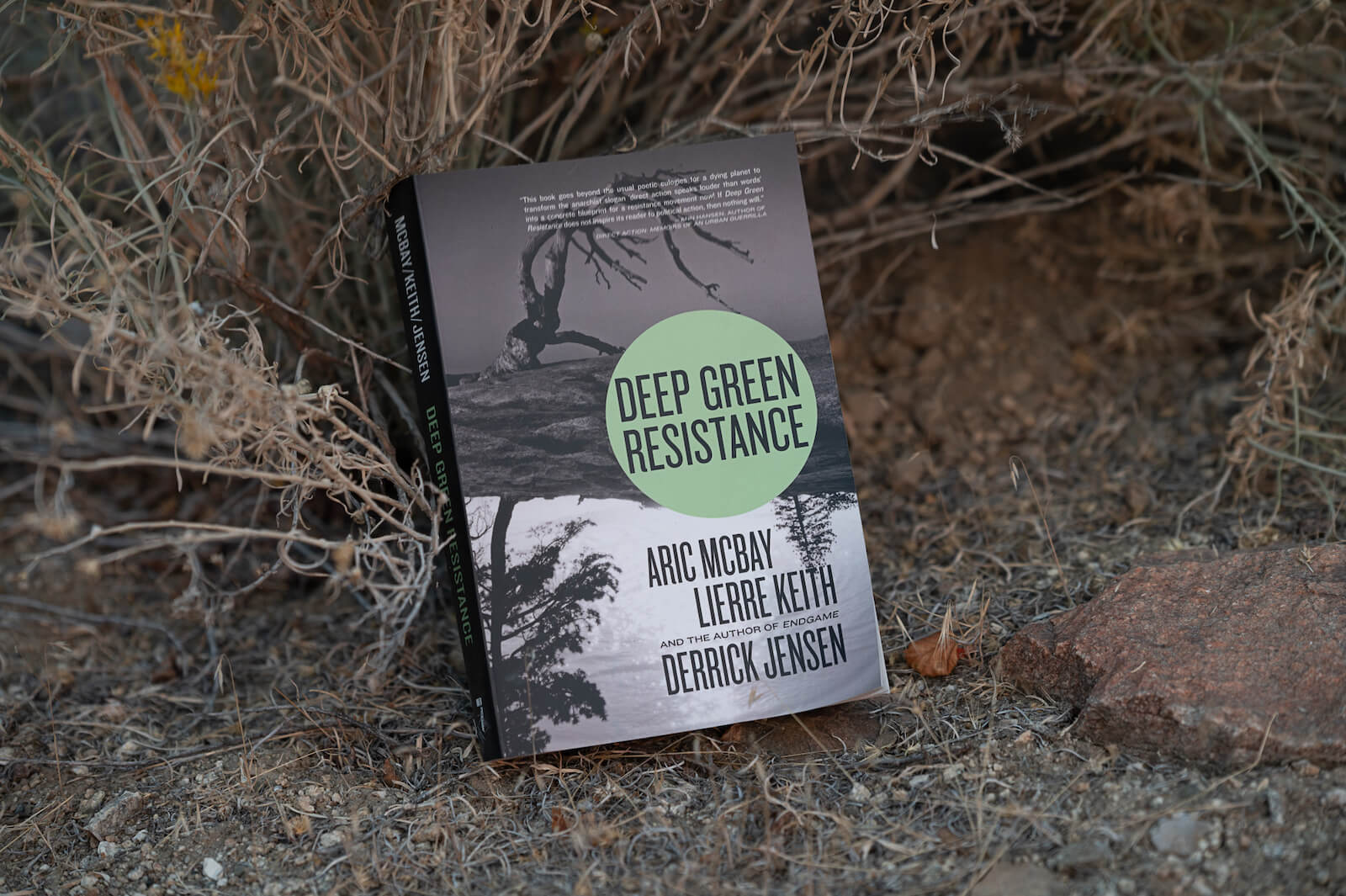 What is Deep Green Resistance?