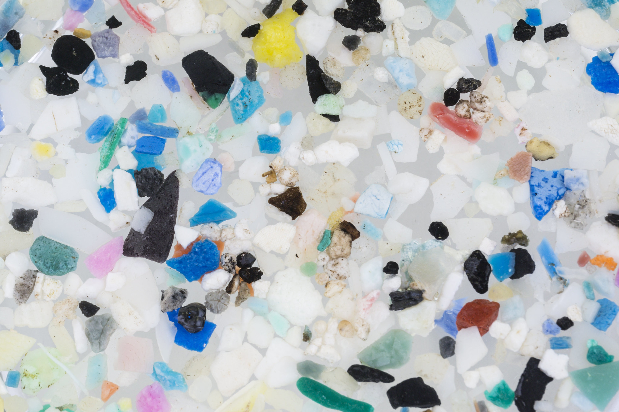 ‘Great concern’ as study finds microplastics in human placentas