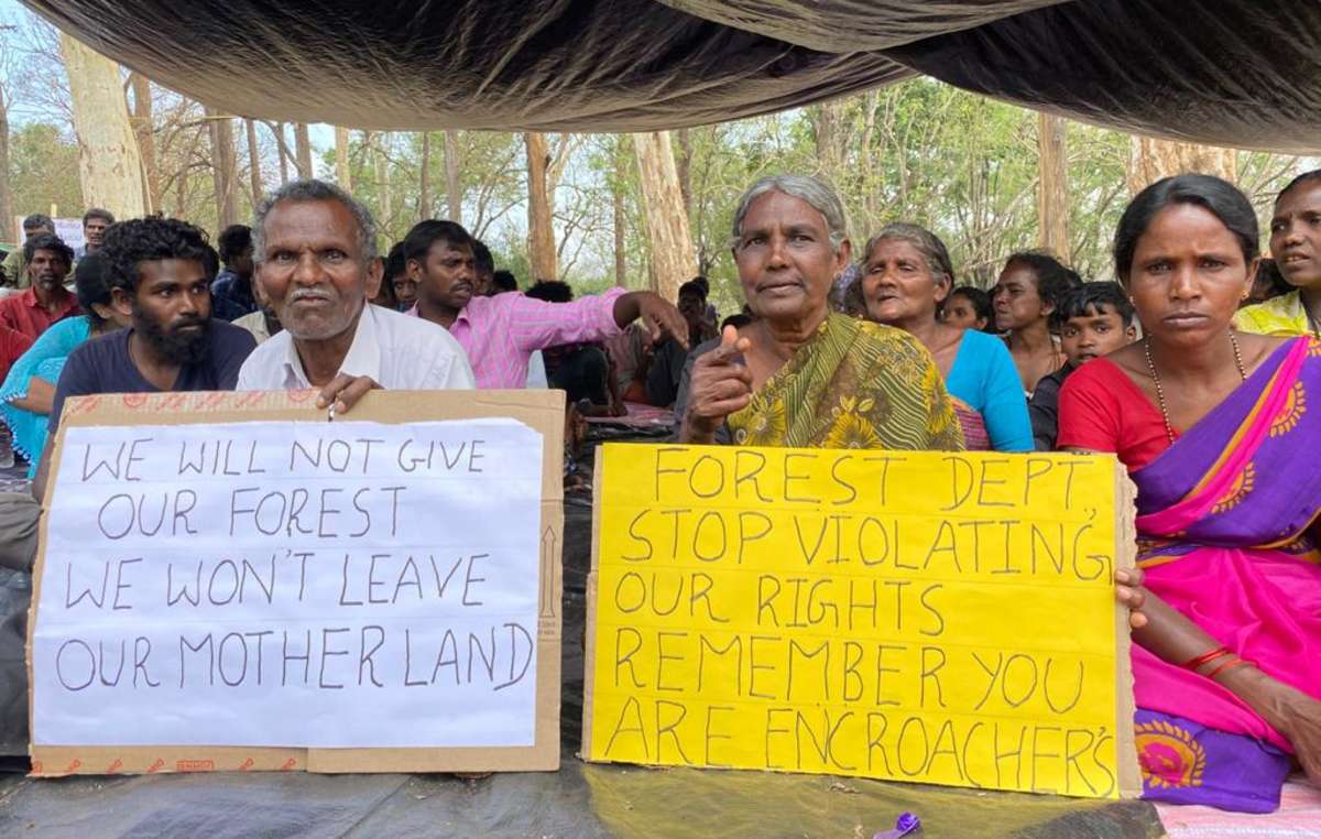 Honey-collecting tribe launches indefinite protest for right to stay in tiger reserve