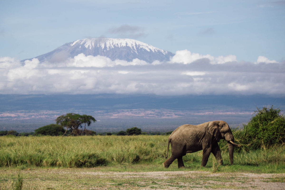 Kenyan environmental tribunal protects open rangeland