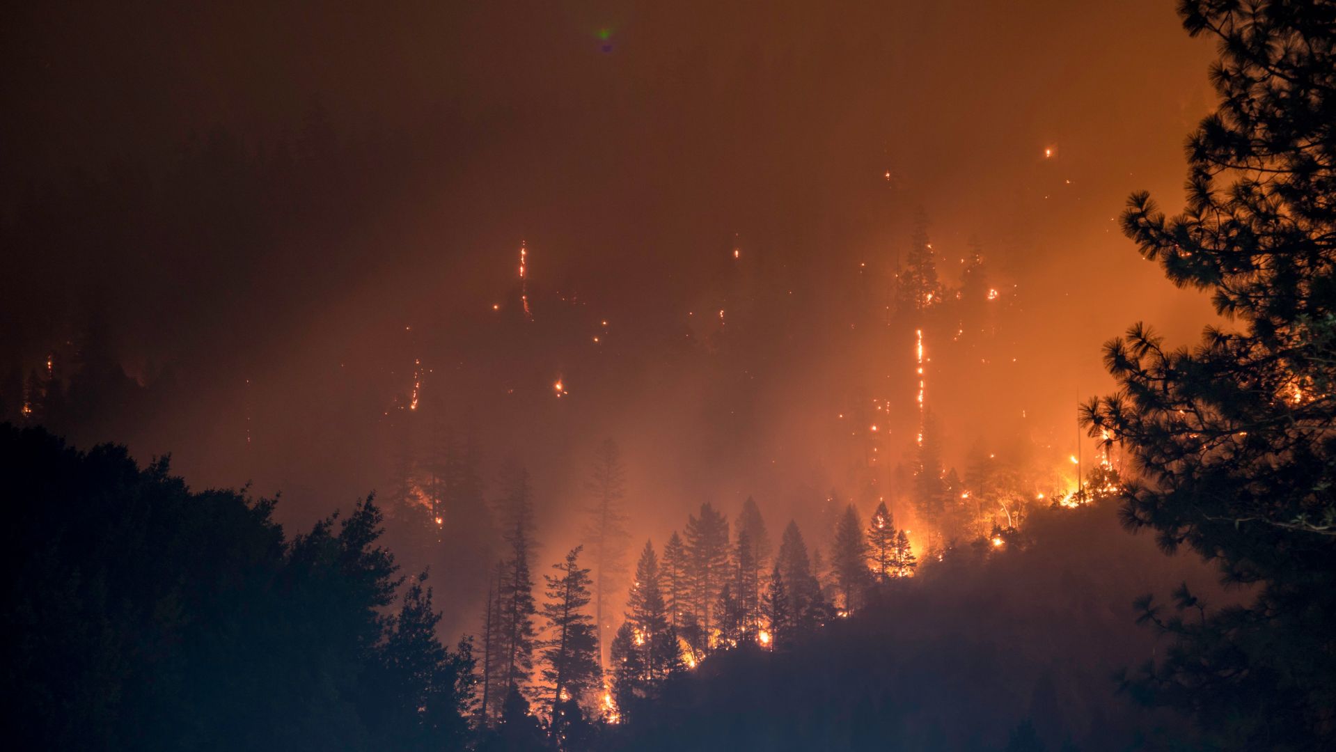 What Jeff Merkley Gets Wrong About Forests and Fire