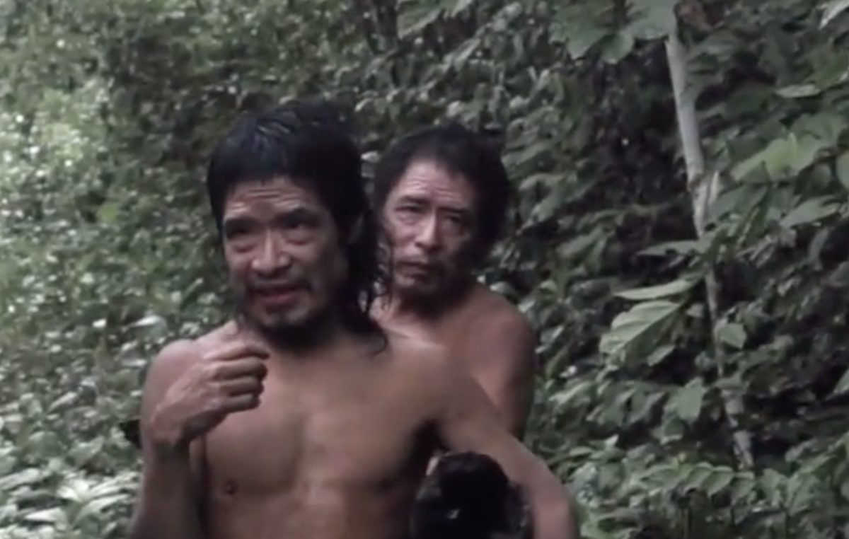 Uncontacted tribe’s land invaded and destroyed for beef production