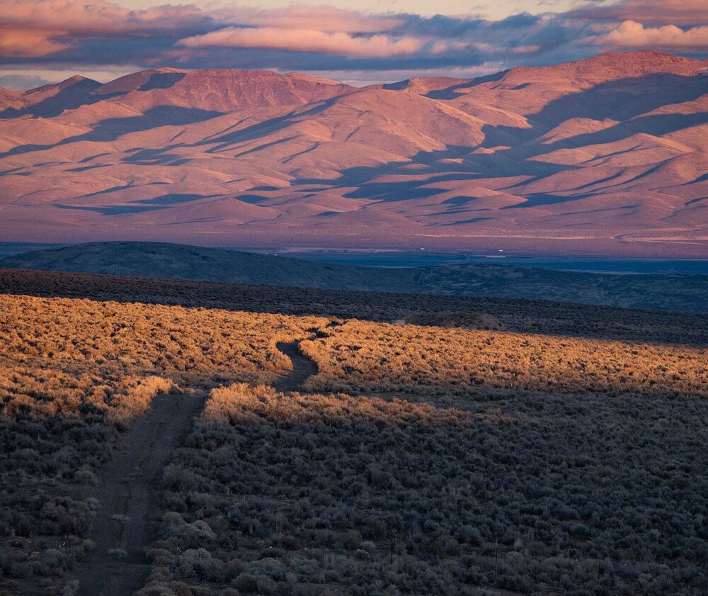Thacker Pass. Photo by Max Wilbert.