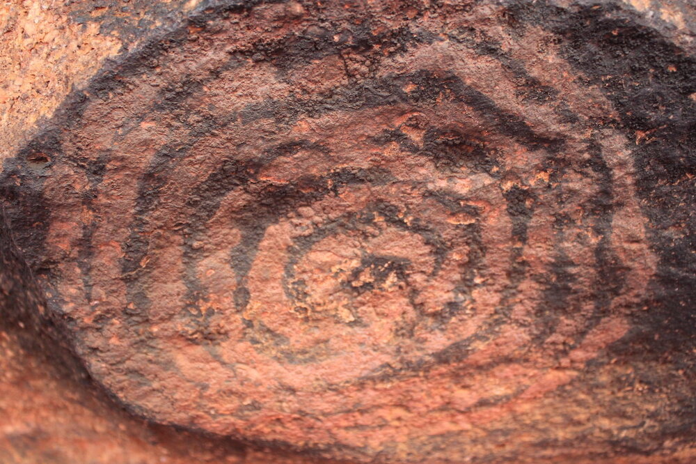 The Kingfisher, the Horse, and being on Country