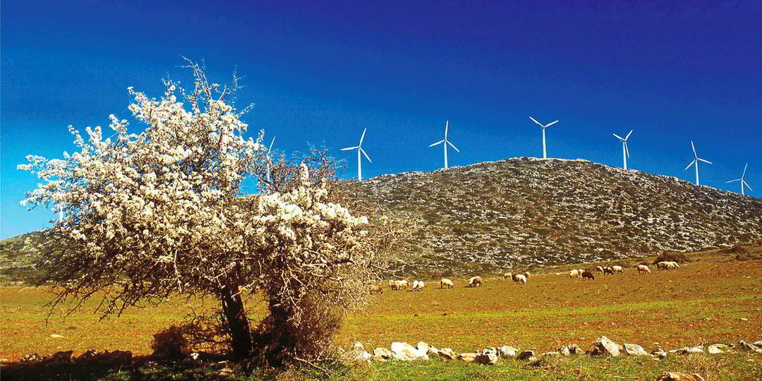 Ecocide in Greece