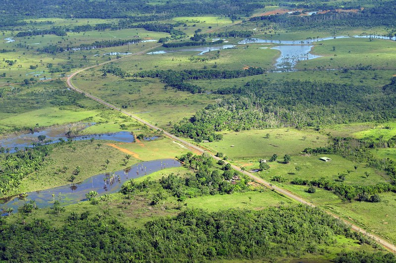 Road Network Spreads Destruction Across Amazon