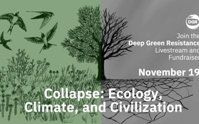 Live Streaming Event — Collapse: Ecology, Climate, and Civilization