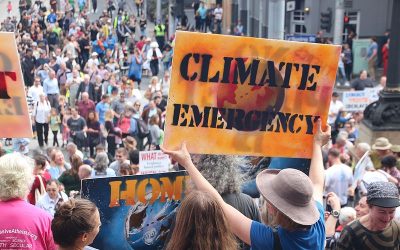 Declaring Climate Emergency – What Does It Really Mean?