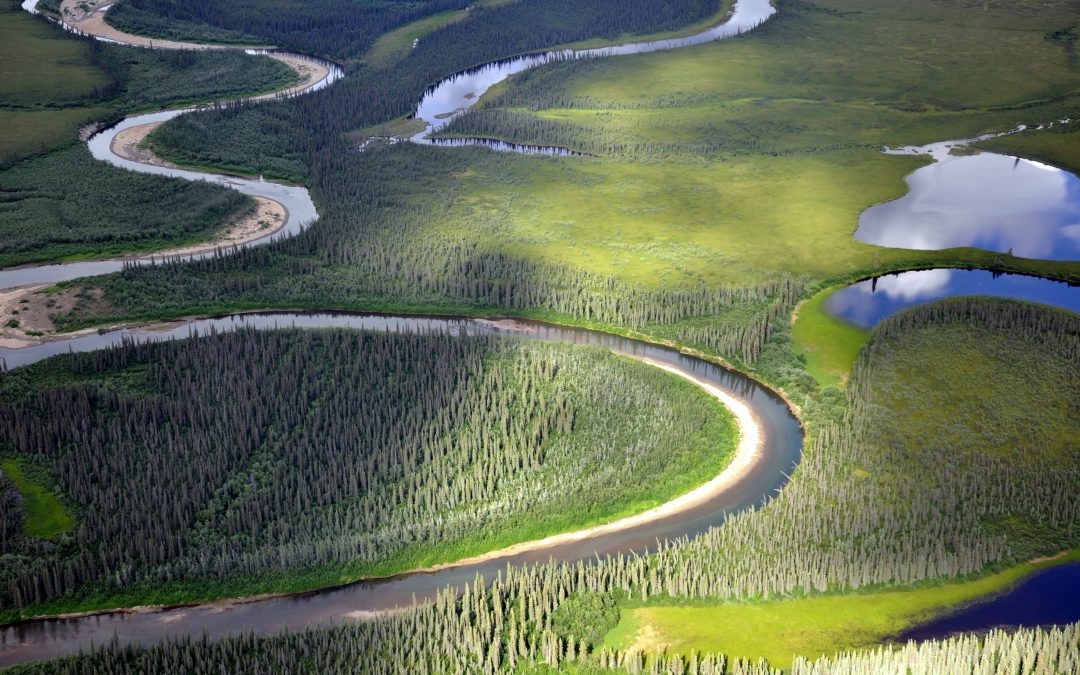 Threat to the Alaskan Wildlands – Ambler Roads