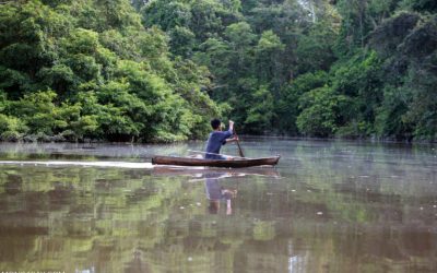 Subsistence Communities: Destroyers or Protectors of Forests?