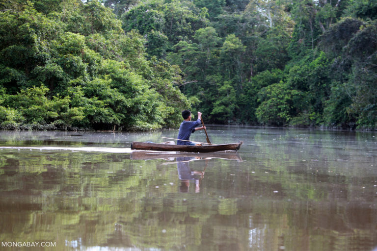 Subsistence Communities: Destroyers or Protectors of Forests?