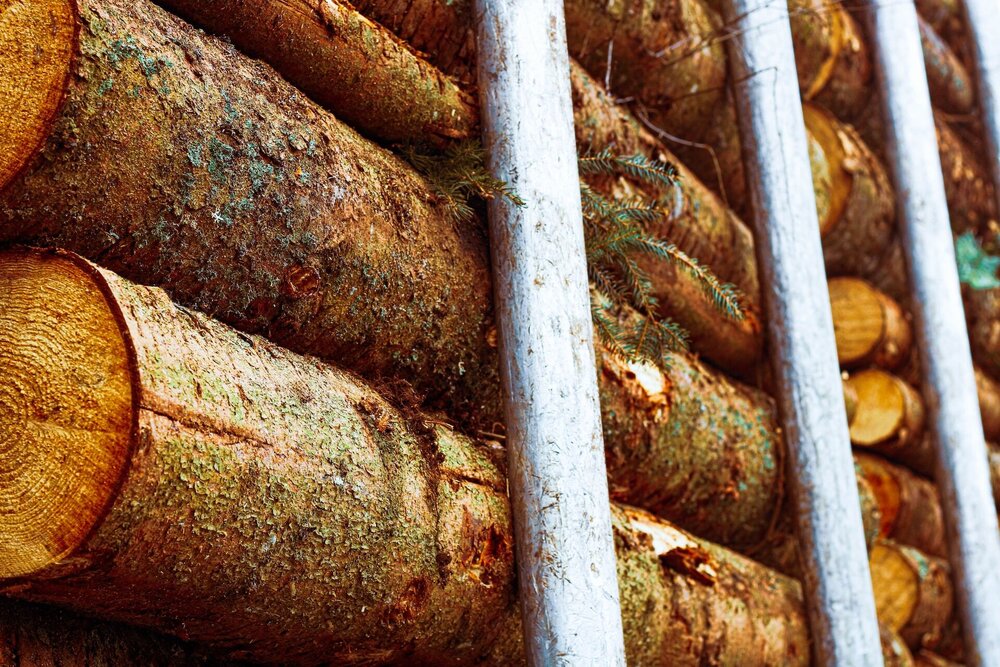 ddp-F_aEVgymKEo-unsplash