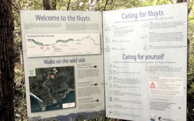 Nuyts Wilderness Walk to Thompson Cove