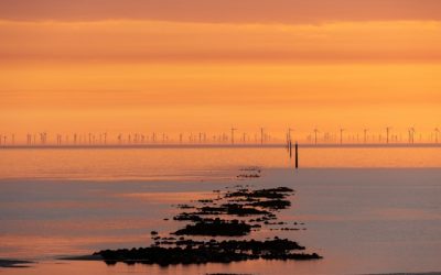 8 Steps Used By Offshore Wind to Create Agreements