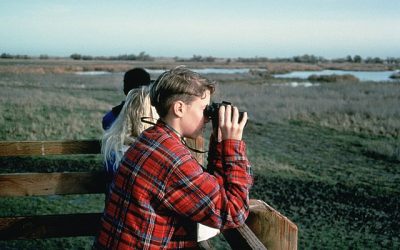 Building Environmental Activism In the Next Generation