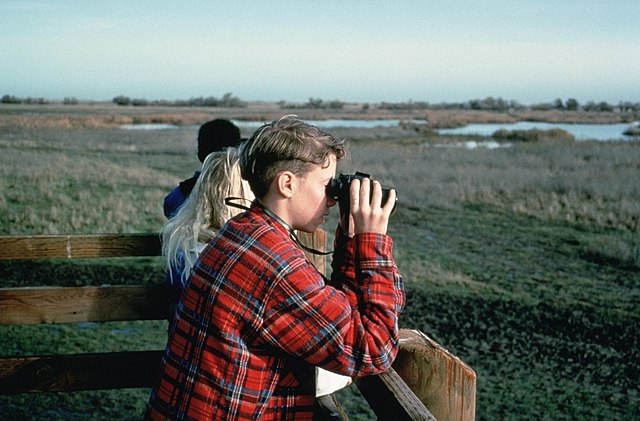 Building Environmental Activism In the Next Generation