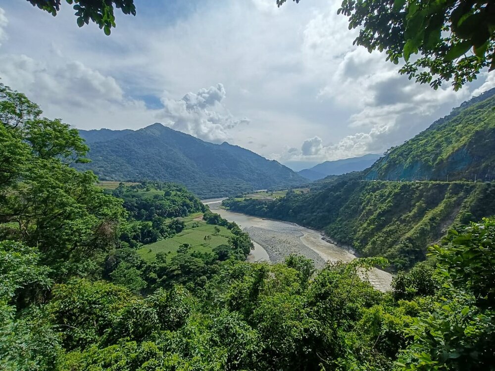 2155D4E1-E11A-46E8-8B97-DBA23120D10E