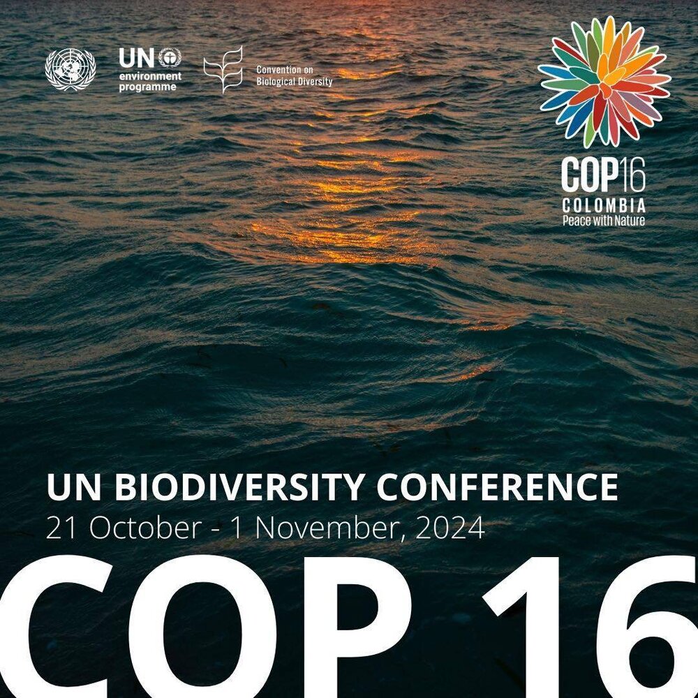 464947075_904426121783684_3200908814225150688_n