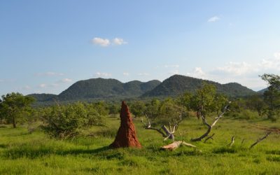 34,000 Year Old Termite Mounds