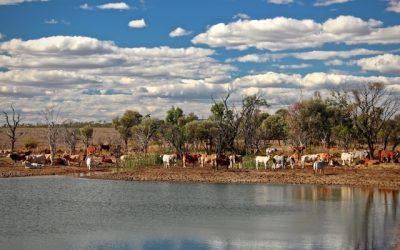 Queensland Floods