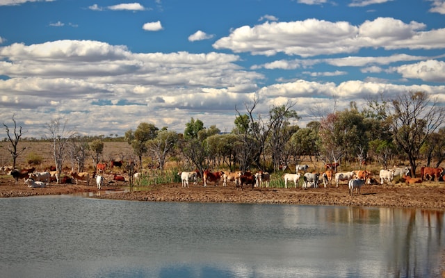 Queensland
